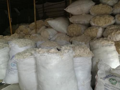 38209687_675168192849476_2764794916587438080_n