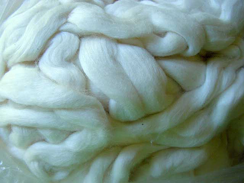 cotton roving
